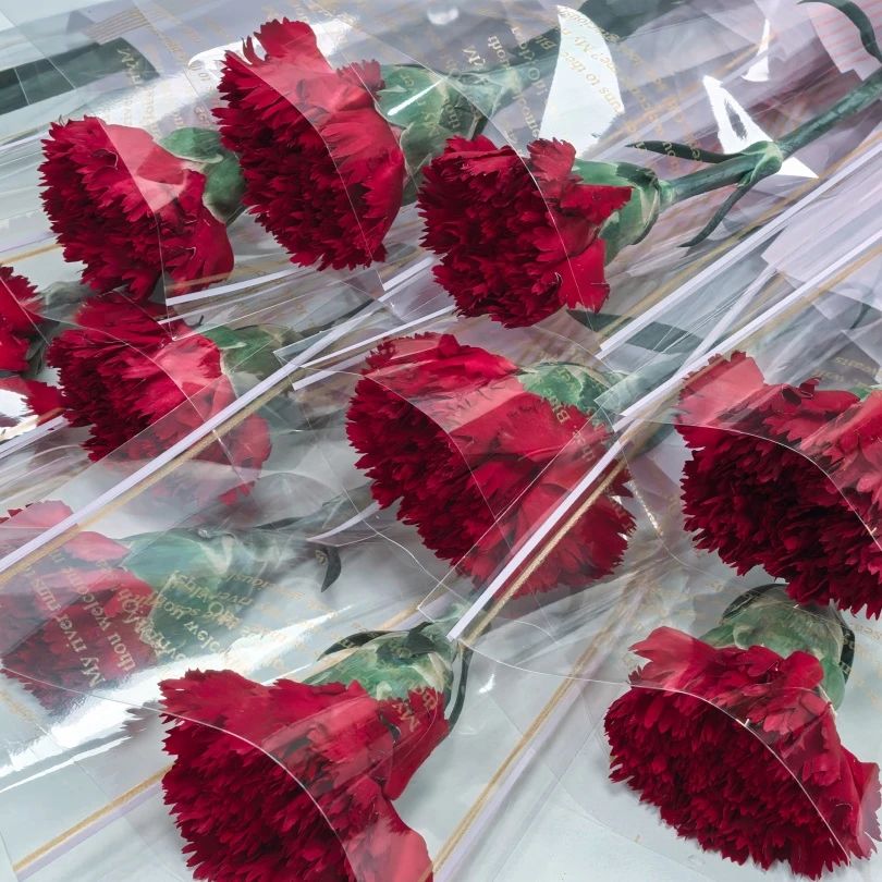 婦女節(jié) | 春風(fēng)如你，熠熠芳華